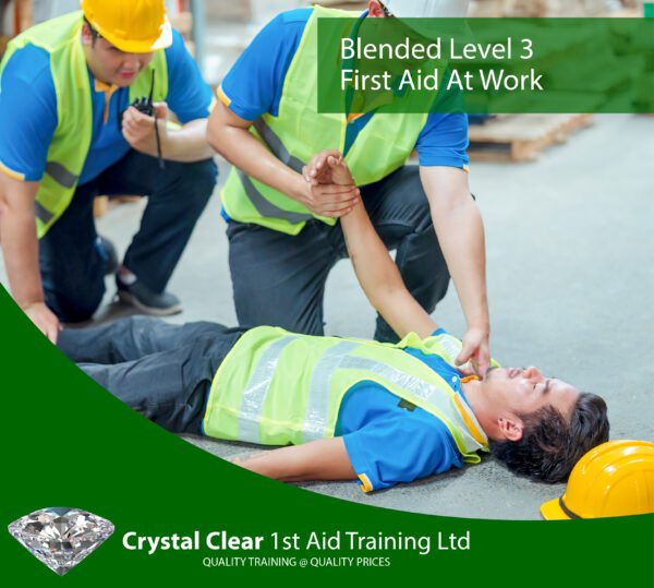 Blended Level 3 First Aid At Work - Includes AED Certification (1 Day ...